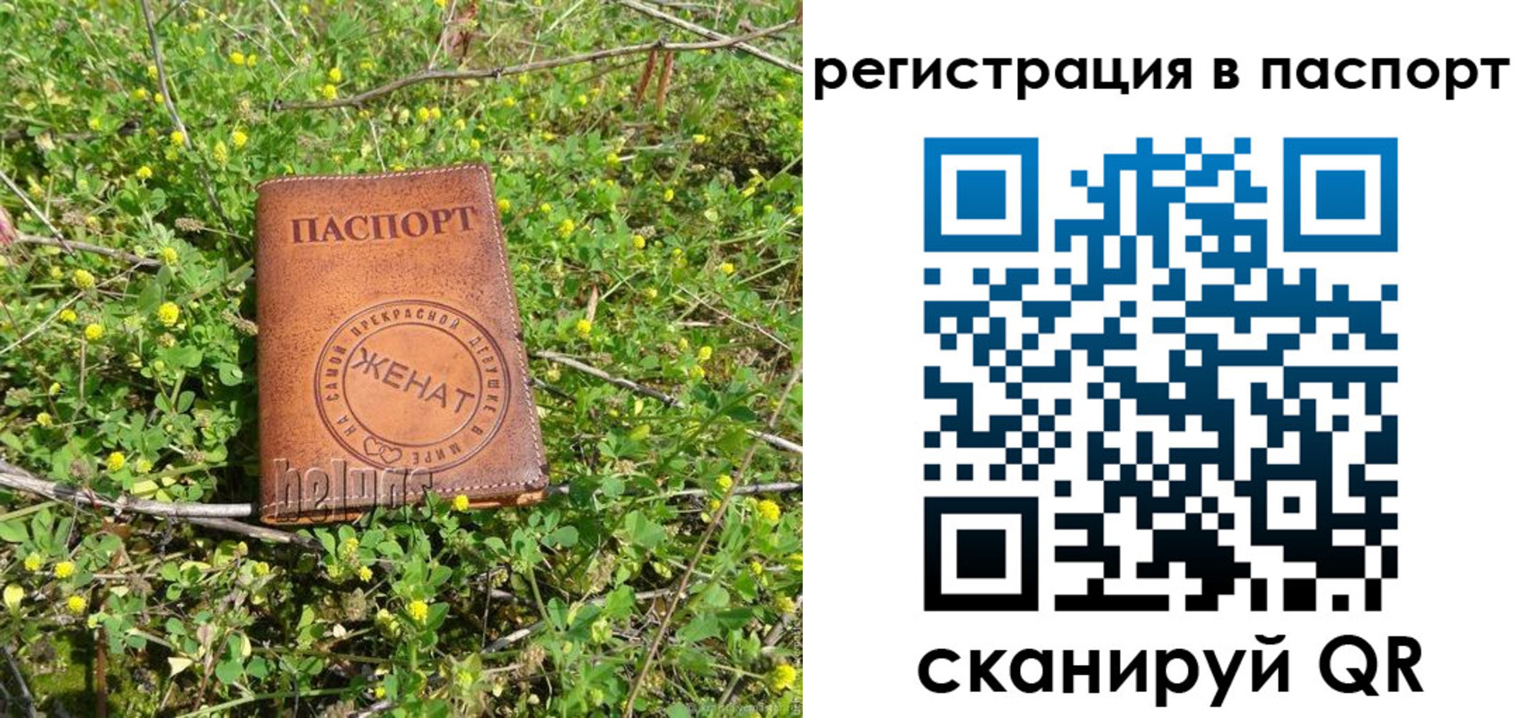 прописка законно в Старой Купавне